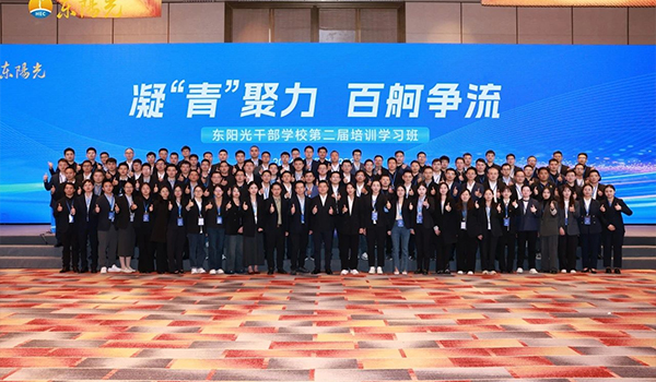 凝“青”聚力，百舸争流 | 九游干部学校2024年第二届培训学习班圆满结束